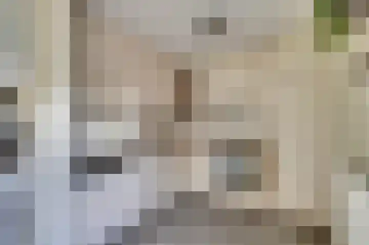 Molster 21 Krabbendijke thumbnail 9