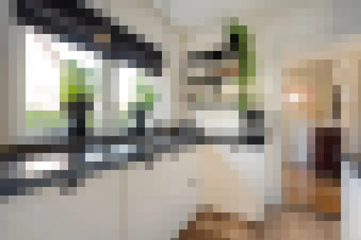 Molstraat 22 Dedemsvaart thumbnail 17