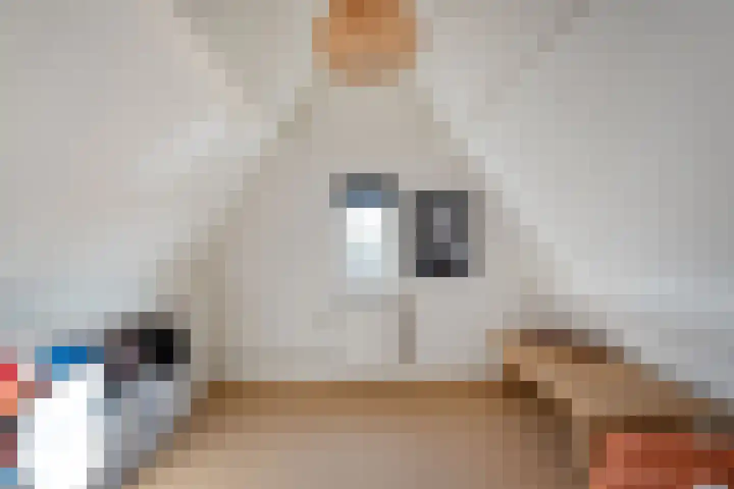Molstraat 22 Dedemsvaart thumbnail 35