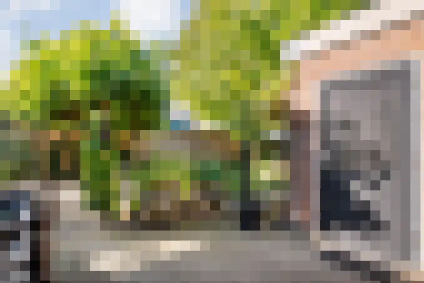 Molstraat 22 Dedemsvaart thumbnail 37