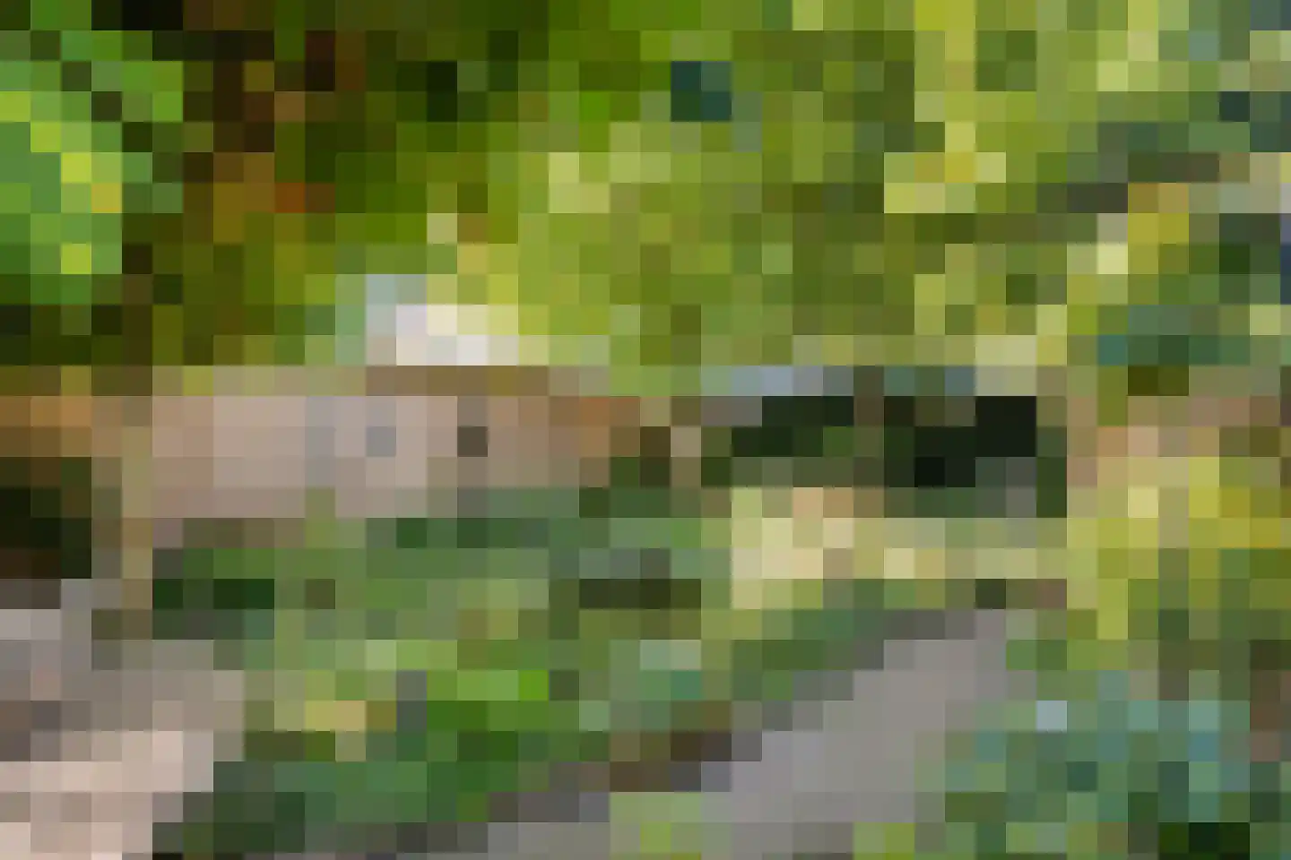 Molstraat 22 Dedemsvaart thumbnail 38