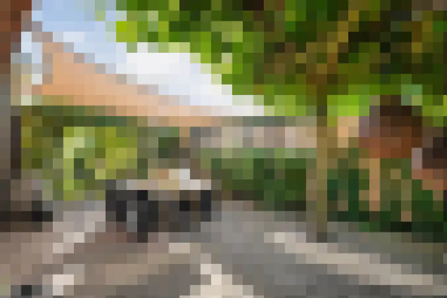 Molstraat 22 Dedemsvaart thumbnail 43