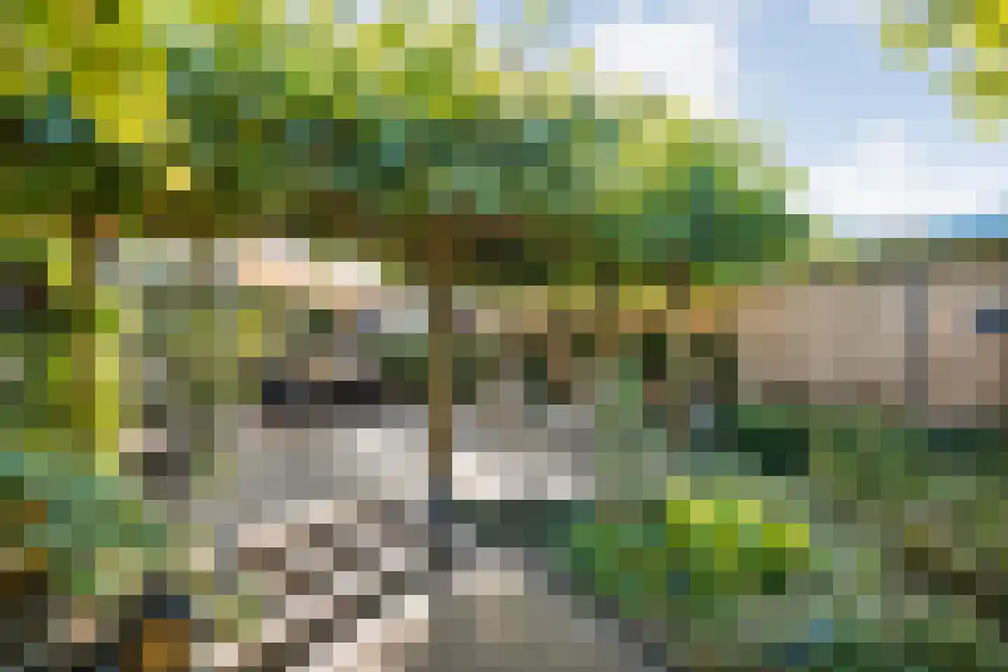 Molstraat 22 Dedemsvaart thumbnail 47