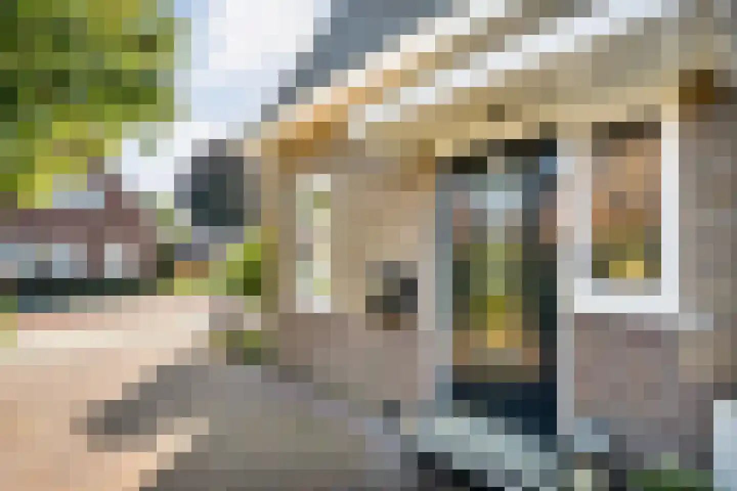 Molstraat 22 Dedemsvaart thumbnail 5