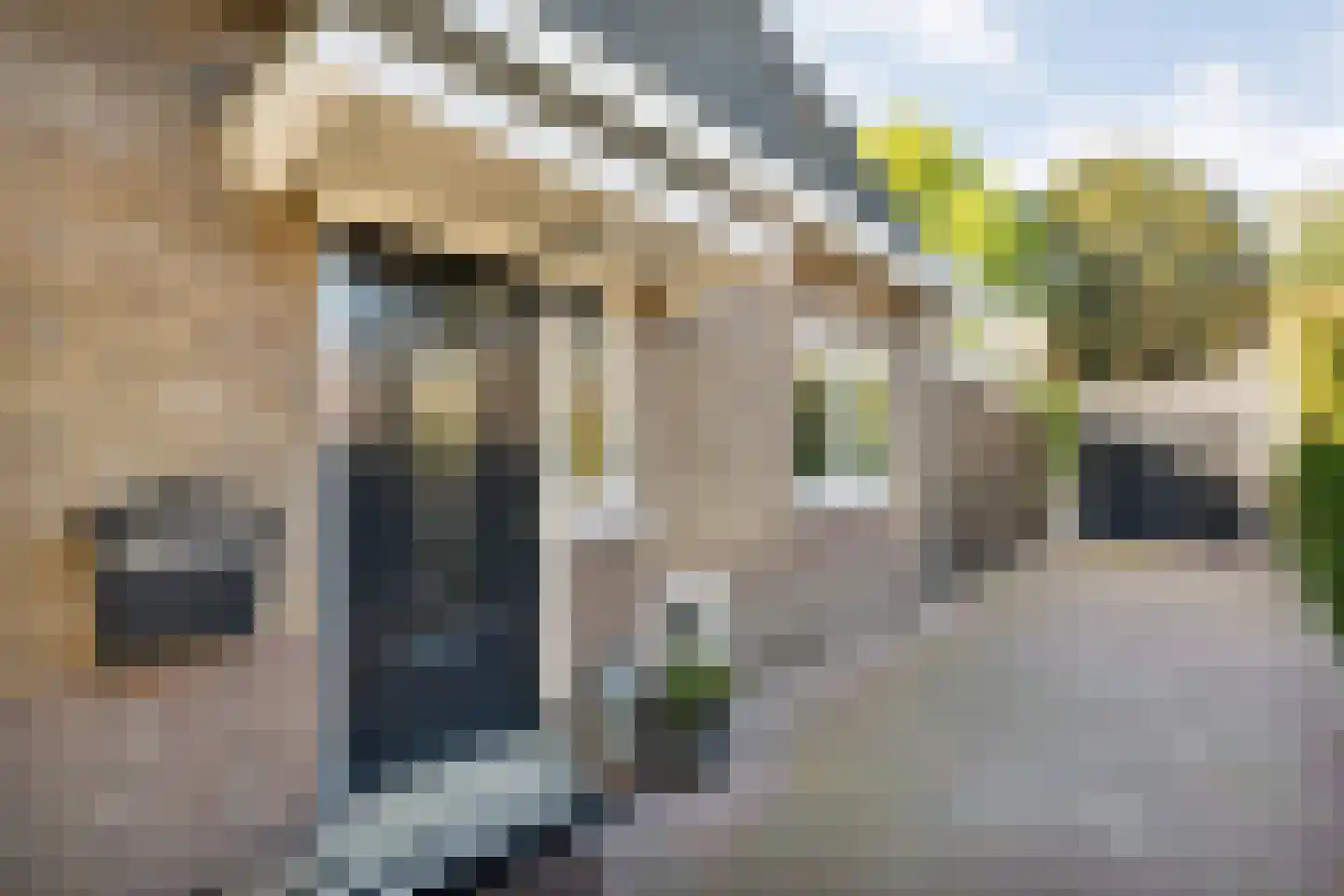Molstraat 22 Dedemsvaart thumbnail 6