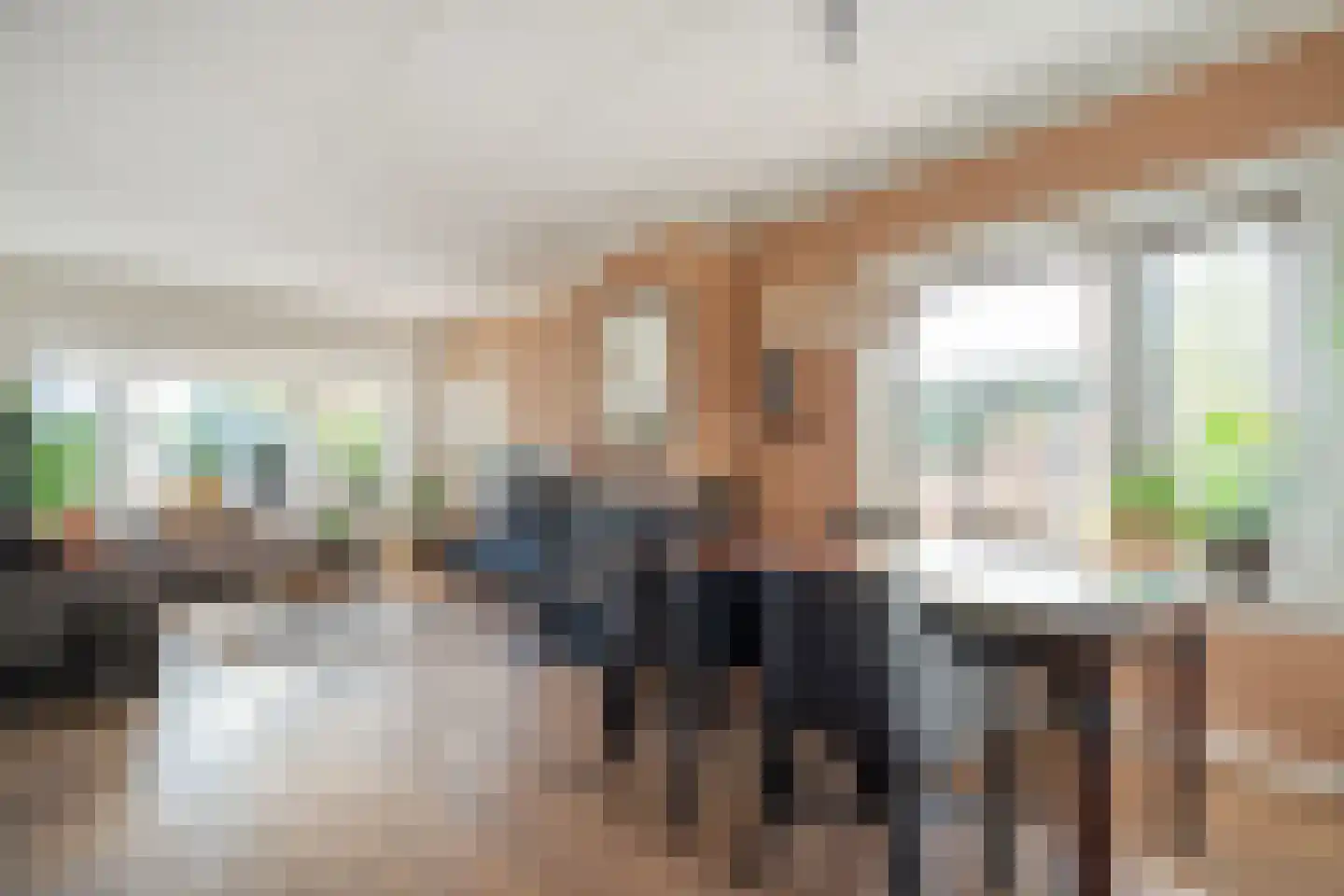 Molstraat 22 Dedemsvaart thumbnail 9