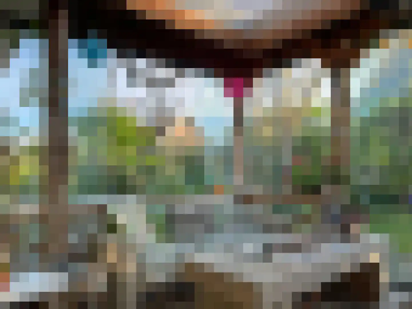 Molstraat 3 a Dreischor thumbnail 12