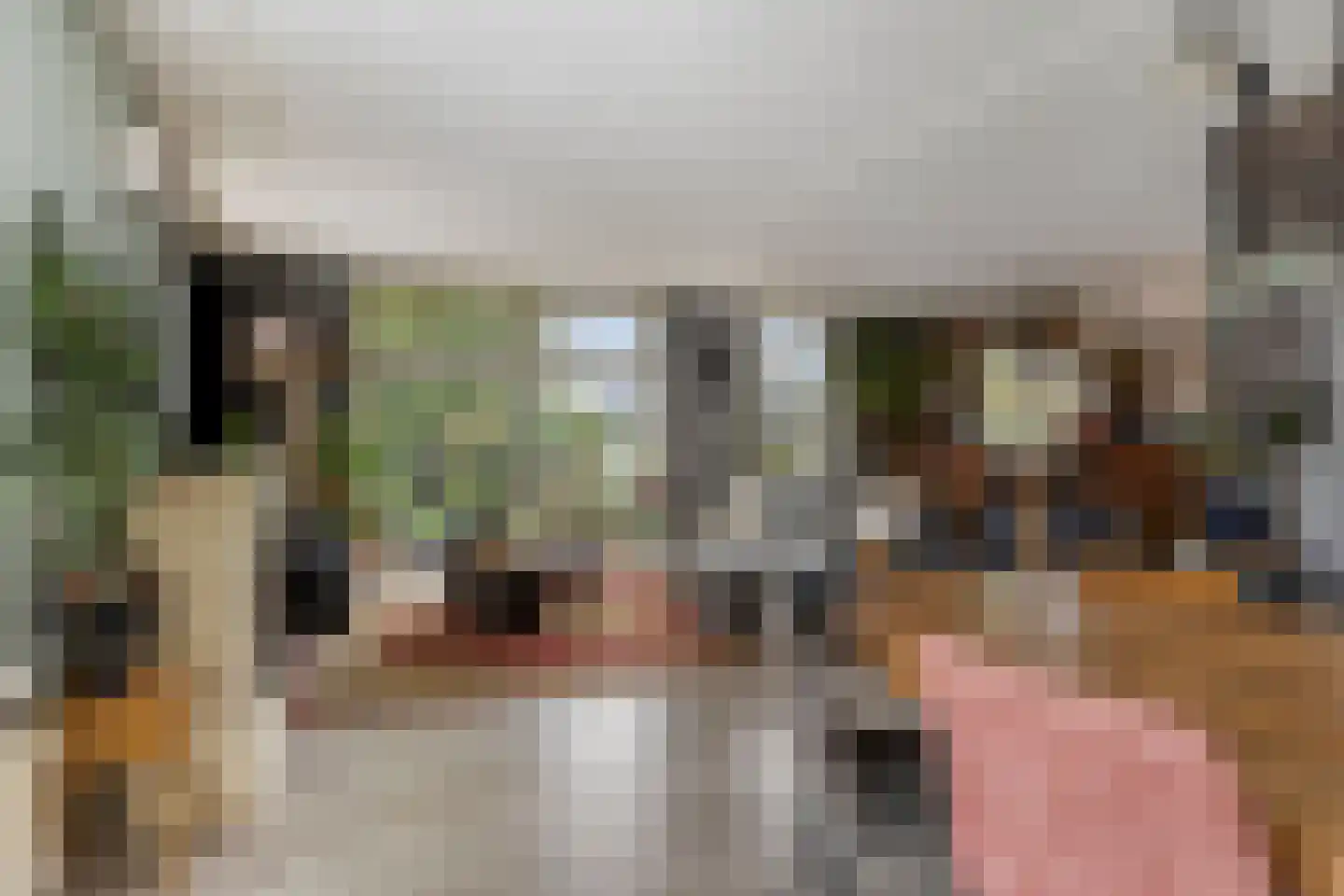 Molstraat 3 a Dreischor thumbnail 13