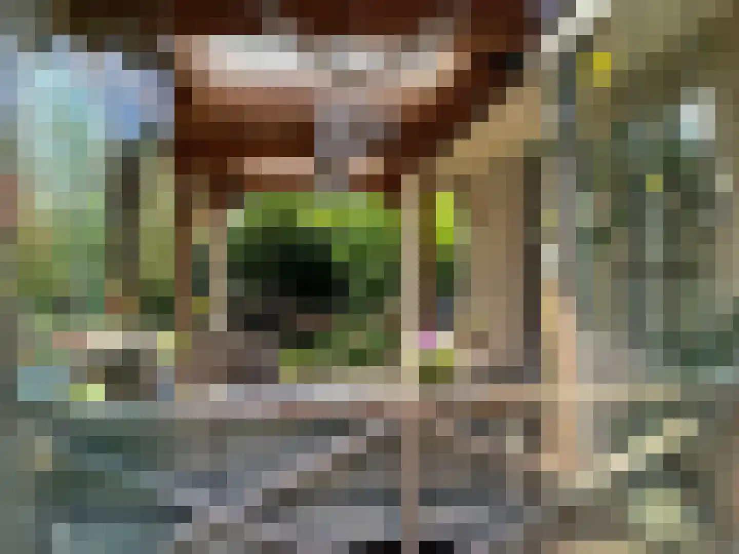 Molstraat 3 a Dreischor thumbnail 14