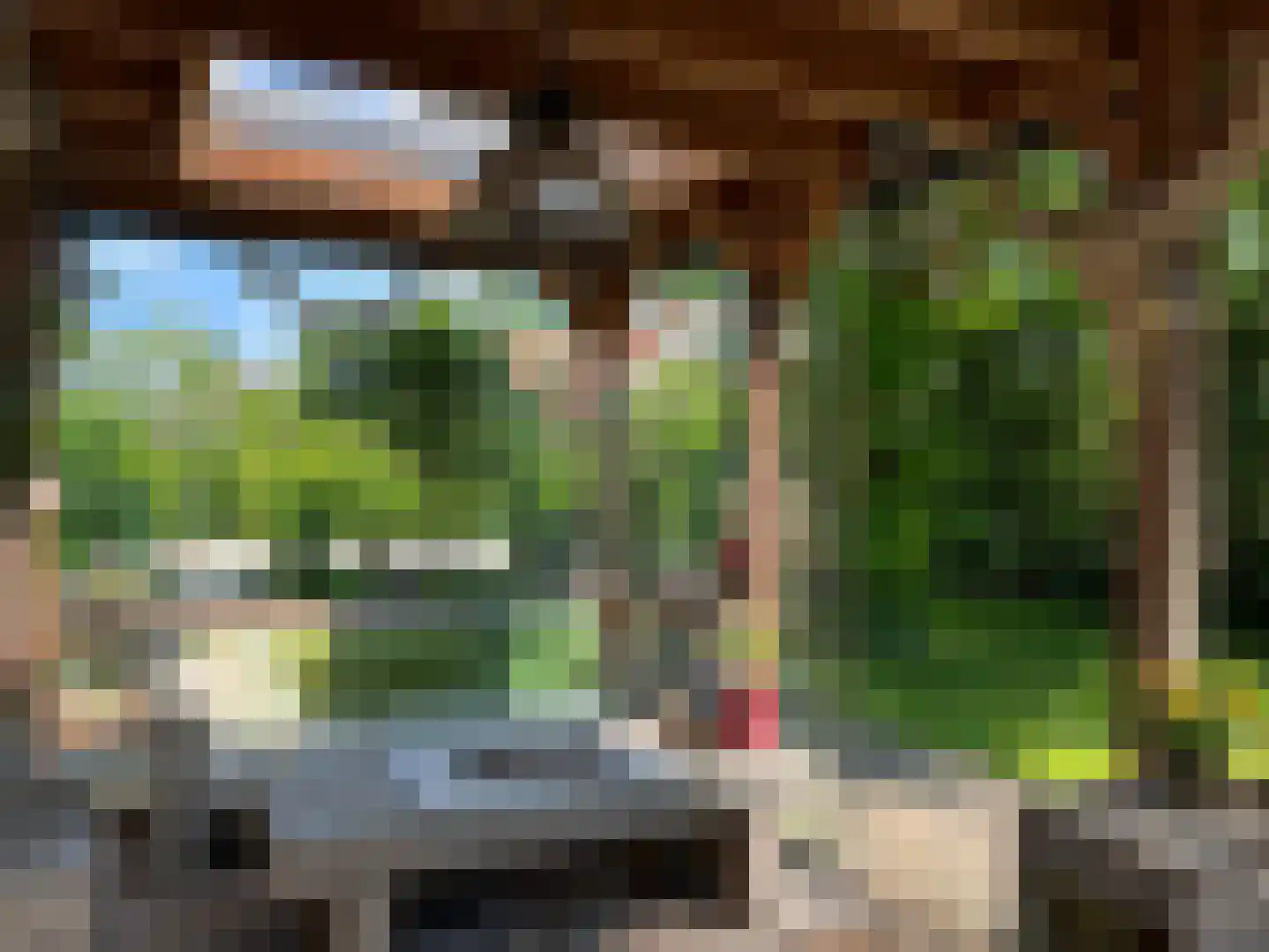 Molstraat 3 a Dreischor thumbnail 15