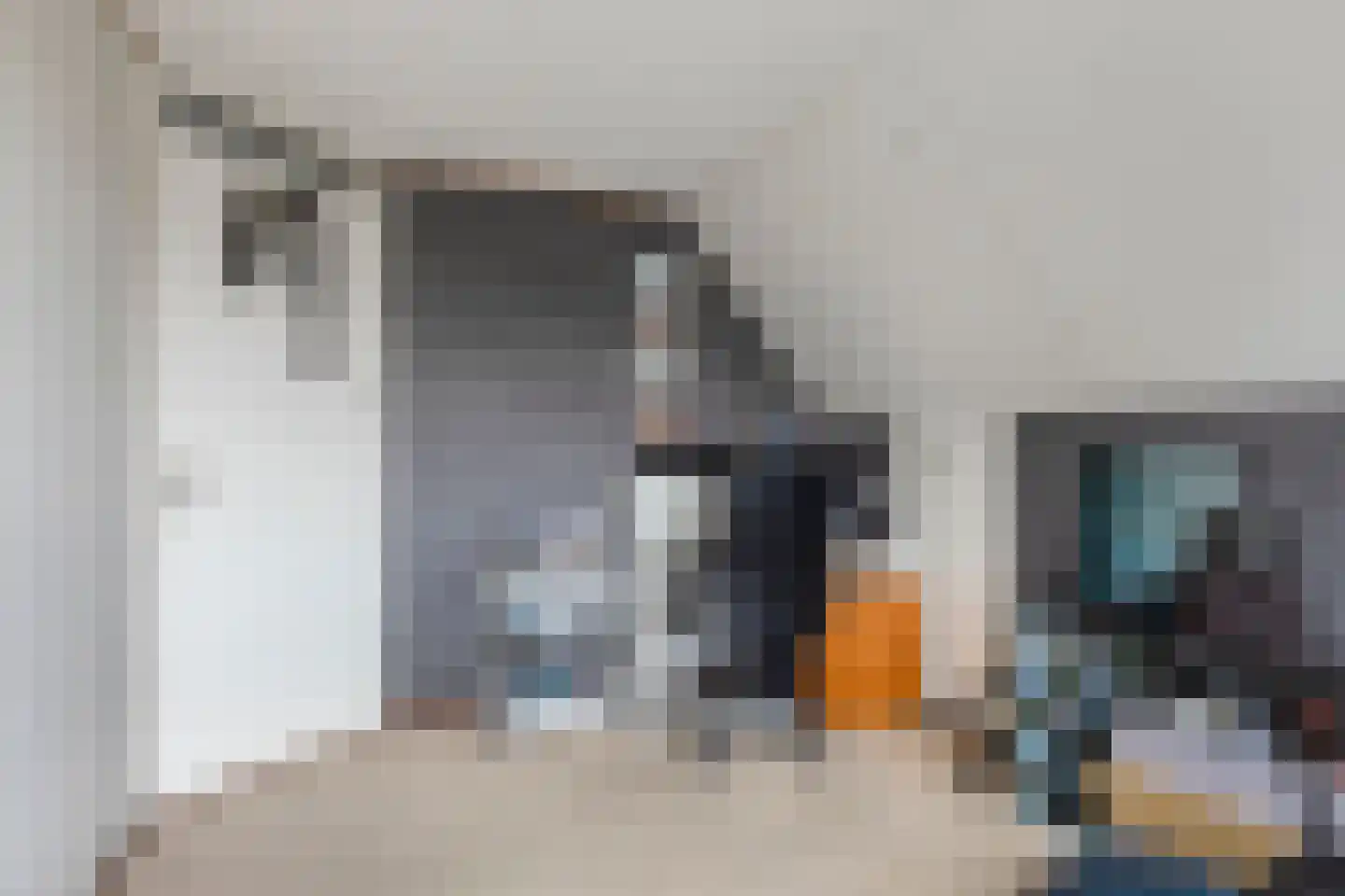 Molstraat 3 a Dreischor thumbnail 24