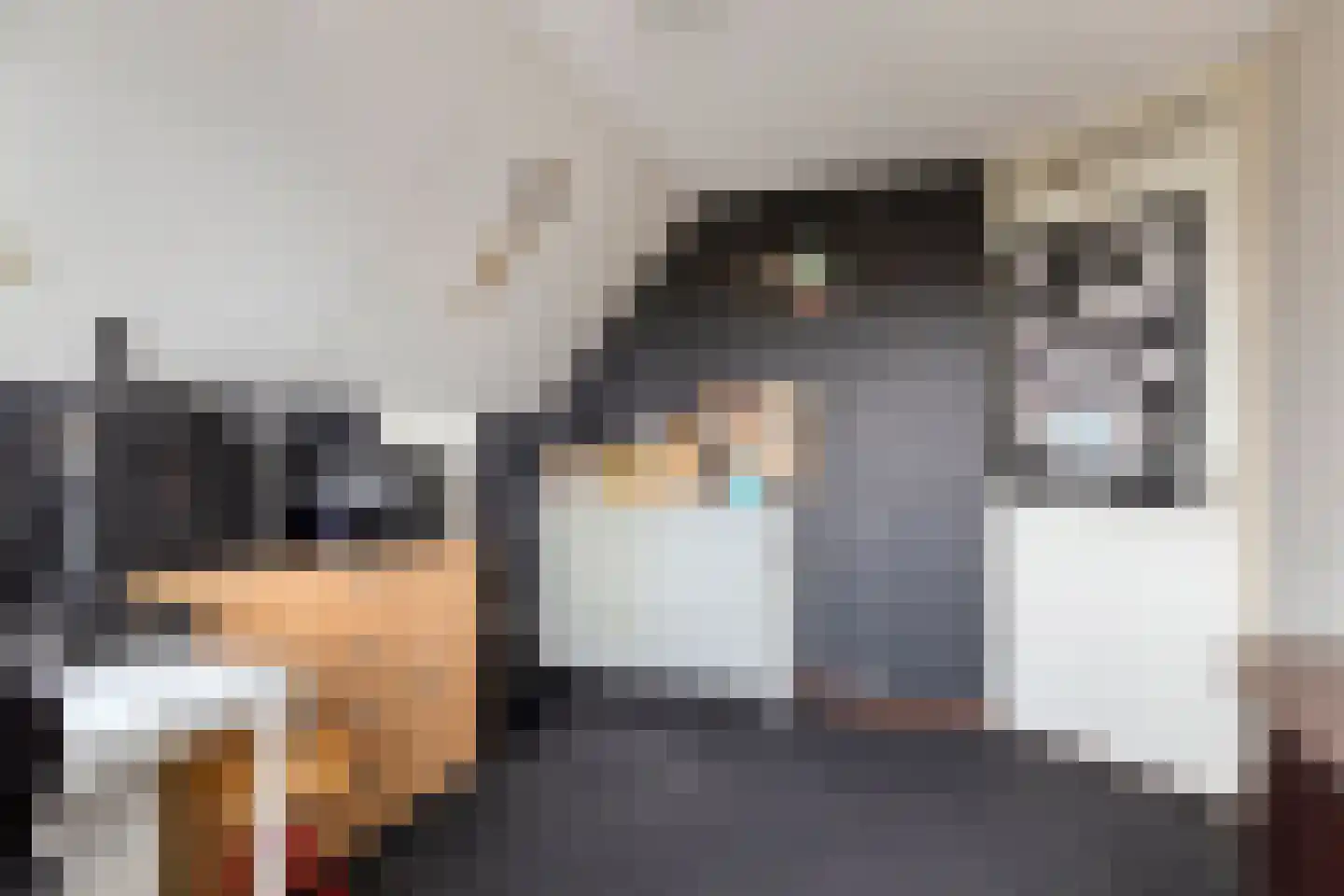 Molstraat 3 a Dreischor thumbnail 26
