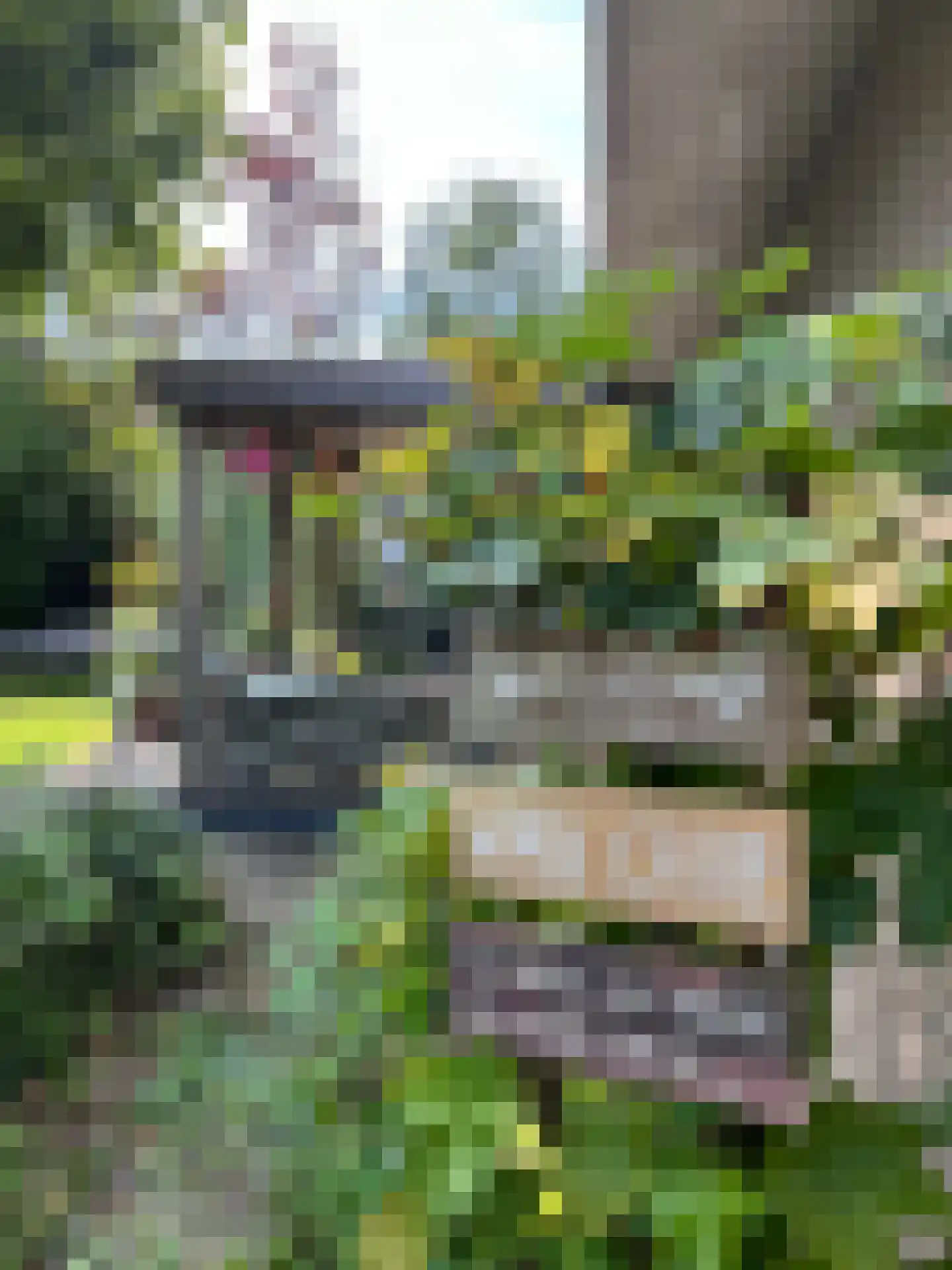 Molstraat 3 a Dreischor thumbnail 31