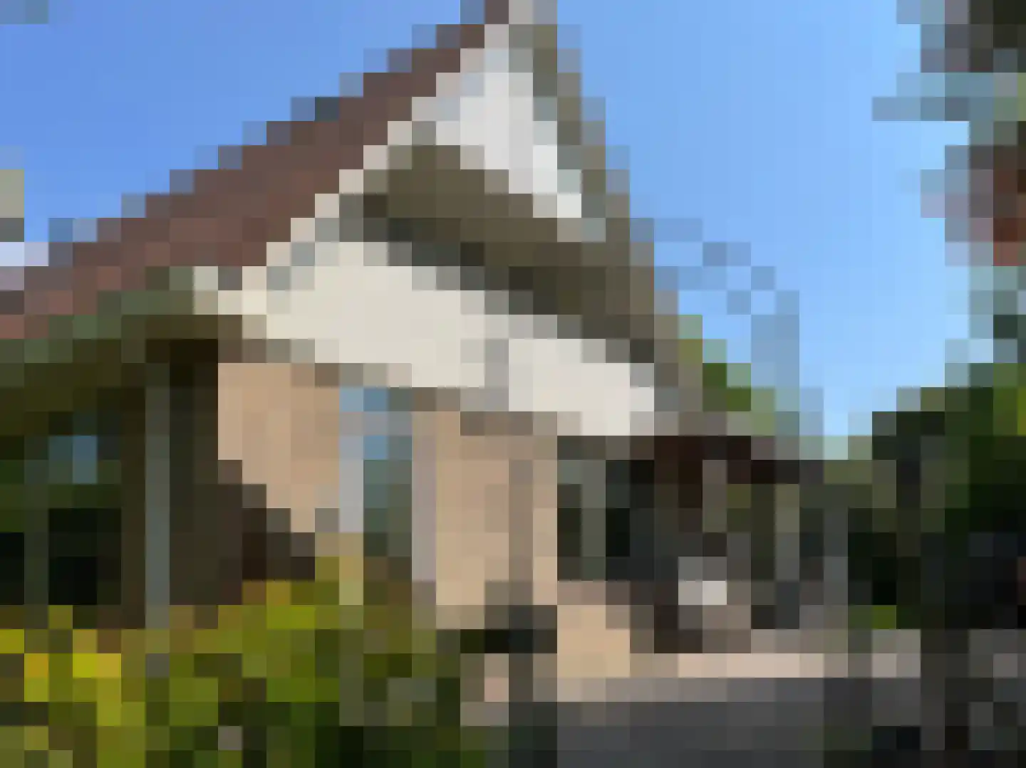 Molstraat 3 a Dreischor thumbnail 33