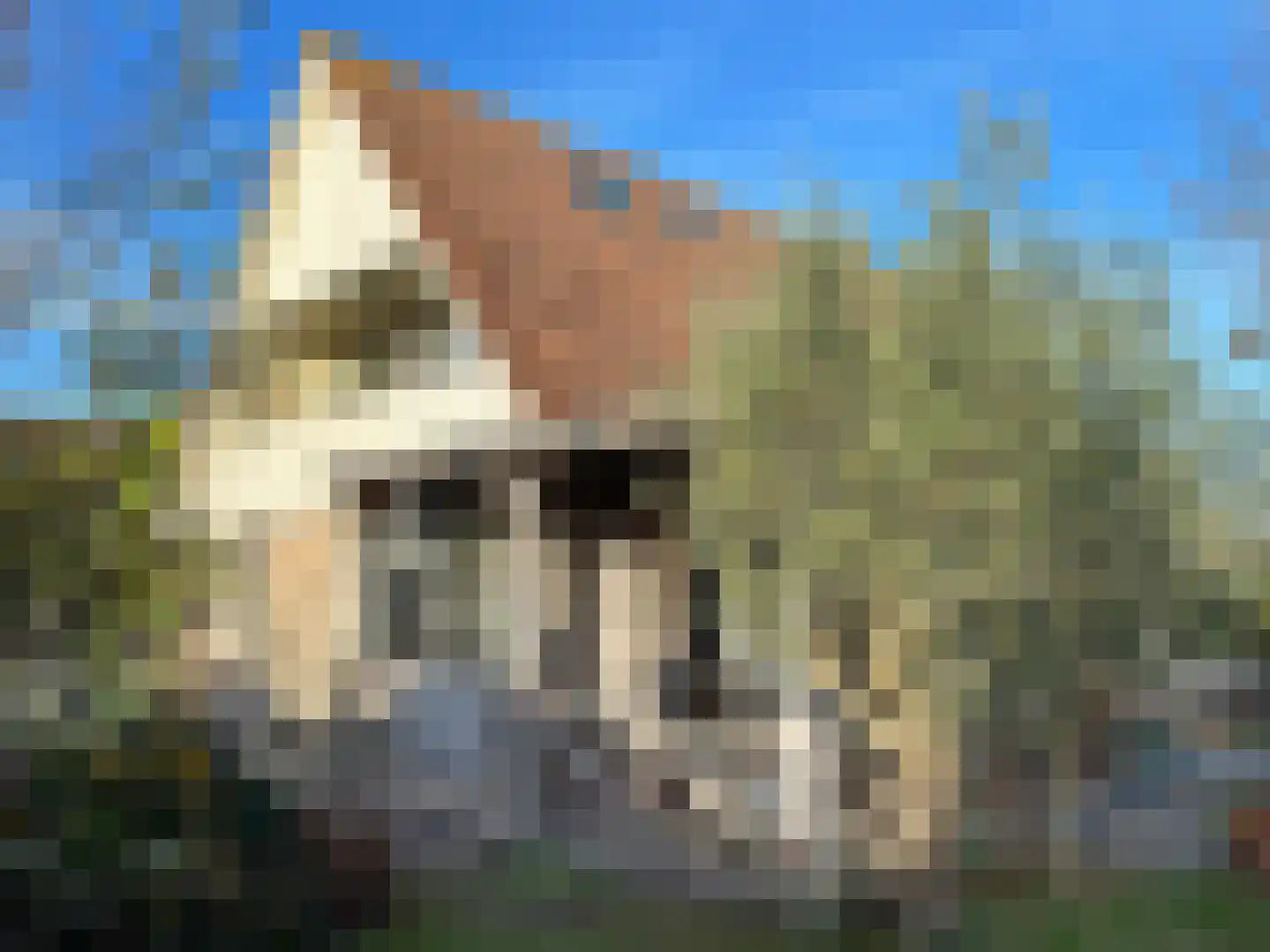 Molstraat 3 a Dreischor thumbnail 35