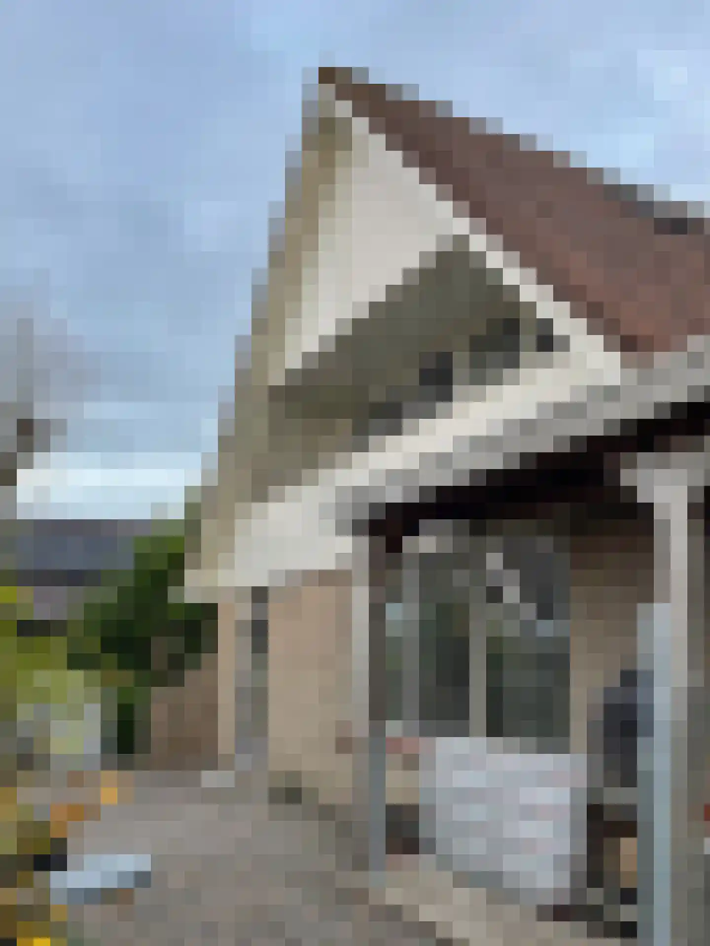 Molstraat 3 a Dreischor thumbnail 36