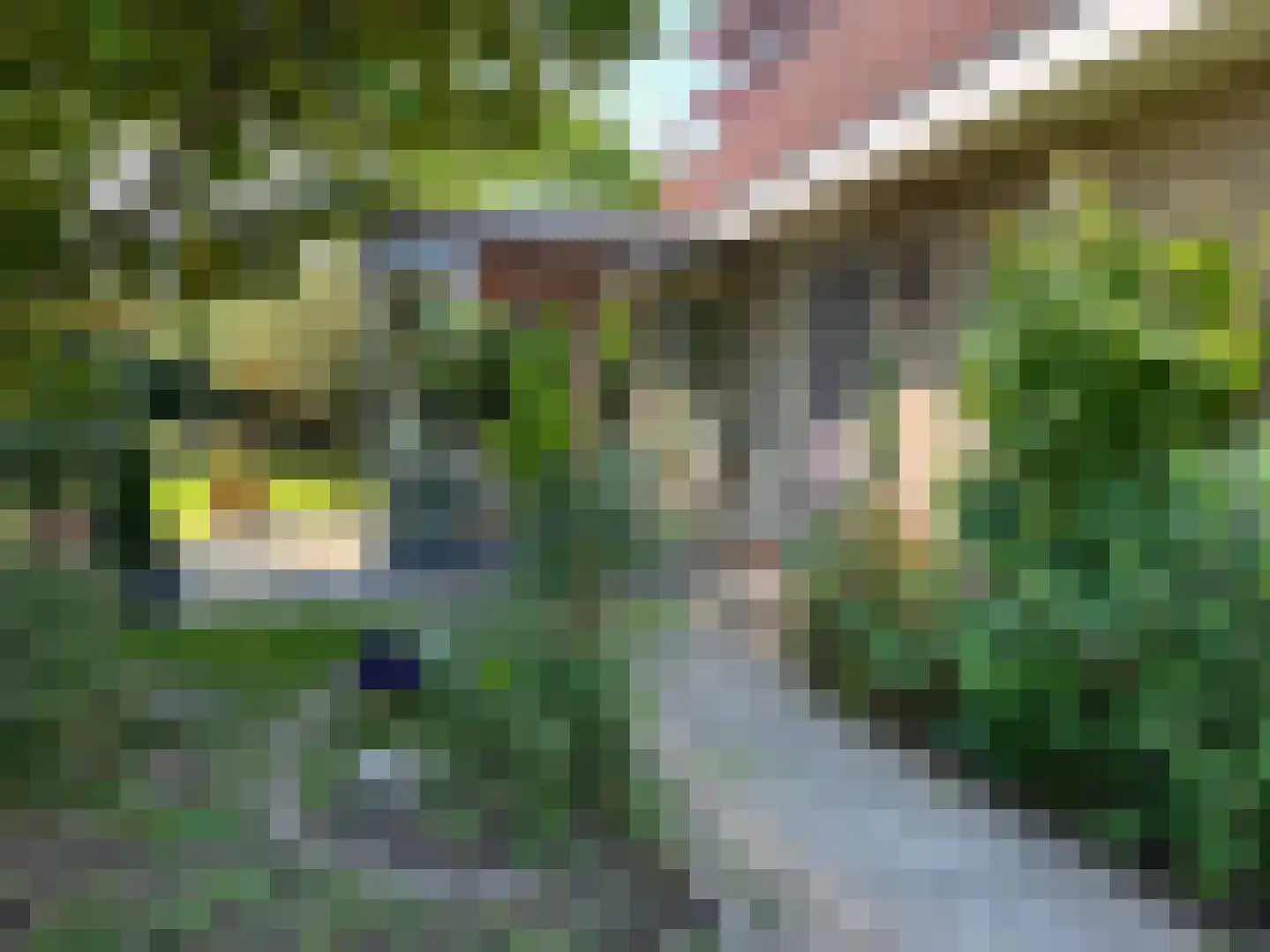 Molstraat 3 a Dreischor thumbnail 38