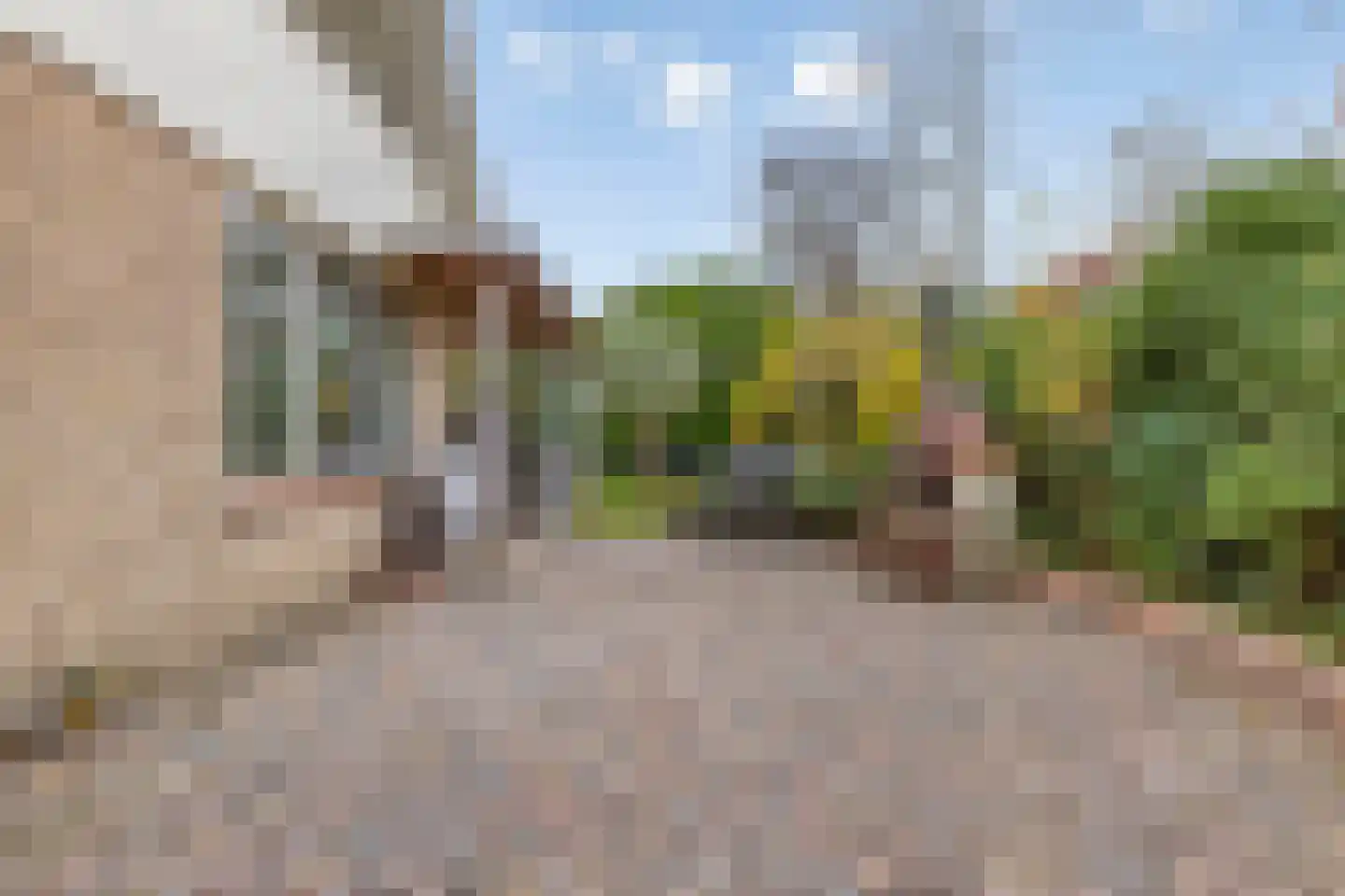 Molstraat 3 a Dreischor thumbnail 39