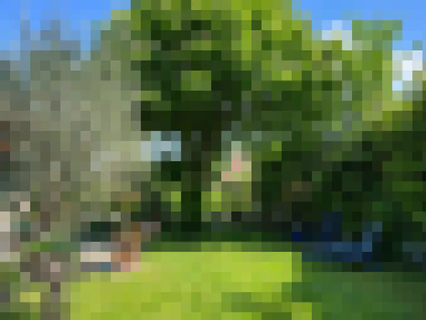 Molstraat 3 a Dreischor thumbnail 4