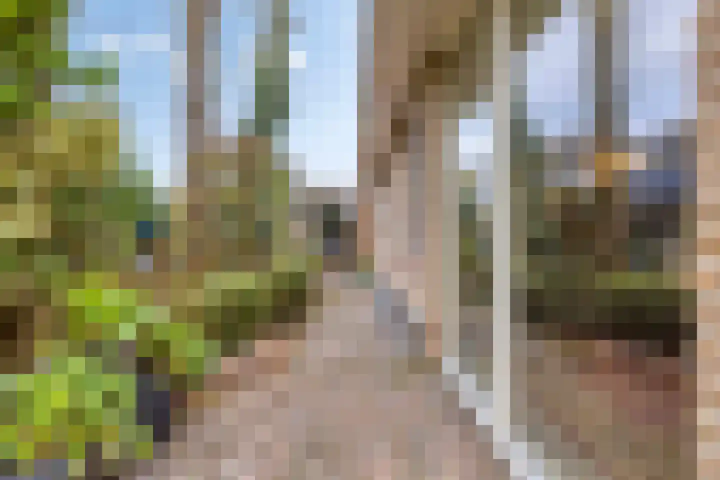 Molstraat 3 a Dreischor thumbnail 40