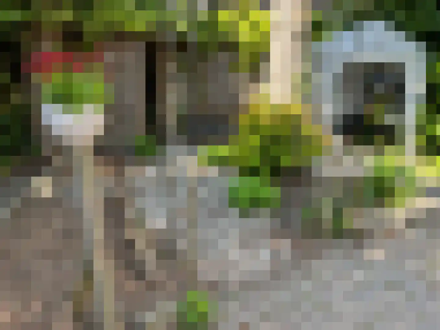 Molstraat 3 a Dreischor thumbnail 42