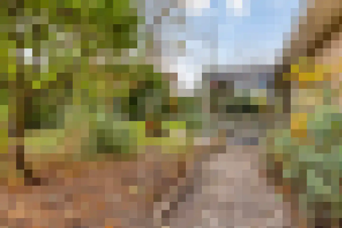 Molstraat 3 a Dreischor thumbnail 43