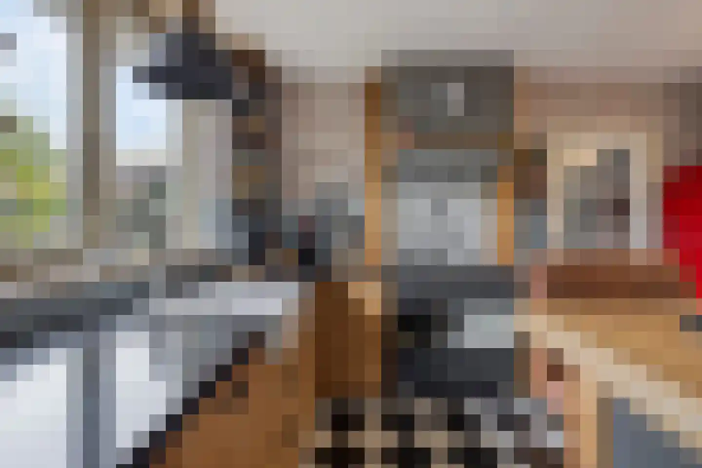 Molstraat 3 a Dreischor thumbnail 6