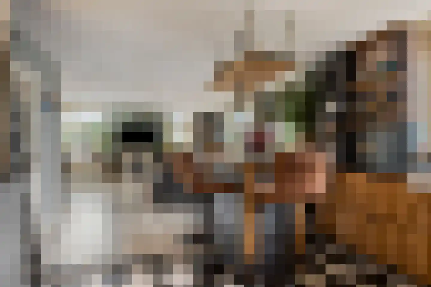 Molstraat 3 a Dreischor thumbnail 7