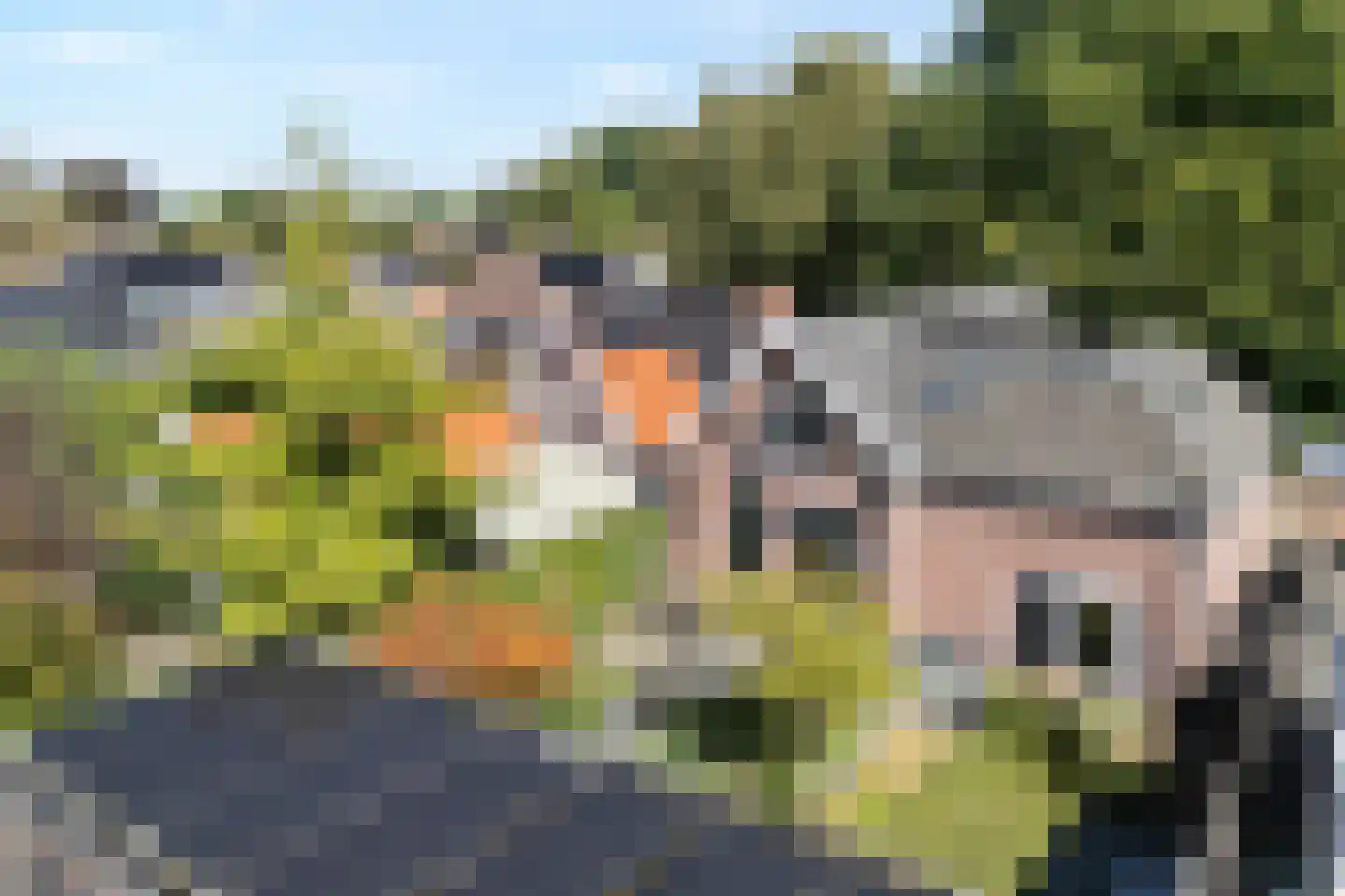 Molstraat 4 Dedemsvaart thumbnail 11