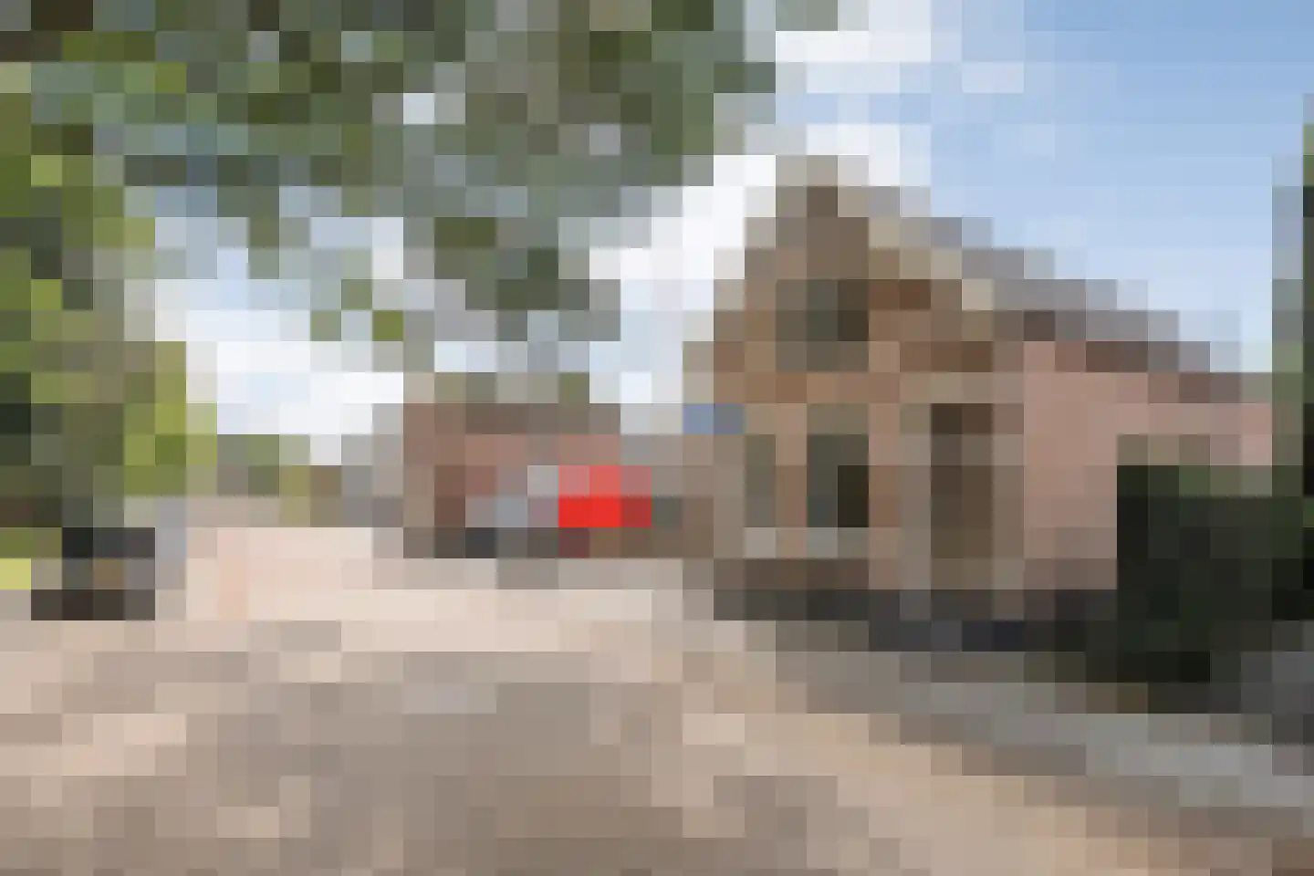 Molstraat 4 Dedemsvaart thumbnail 13