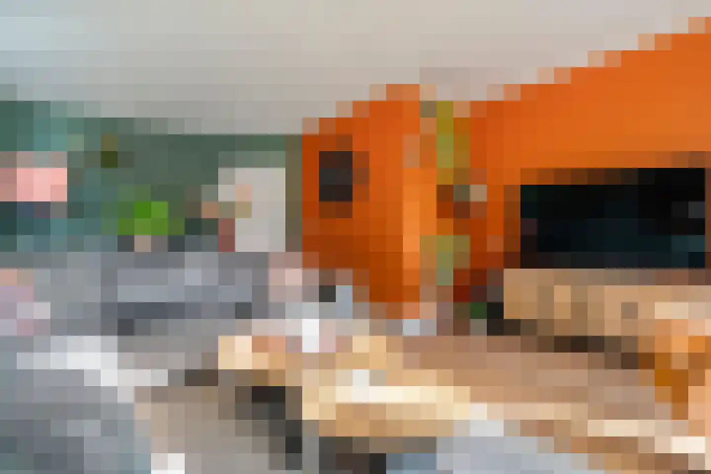 Molstraat 4 Dedemsvaart thumbnail 21