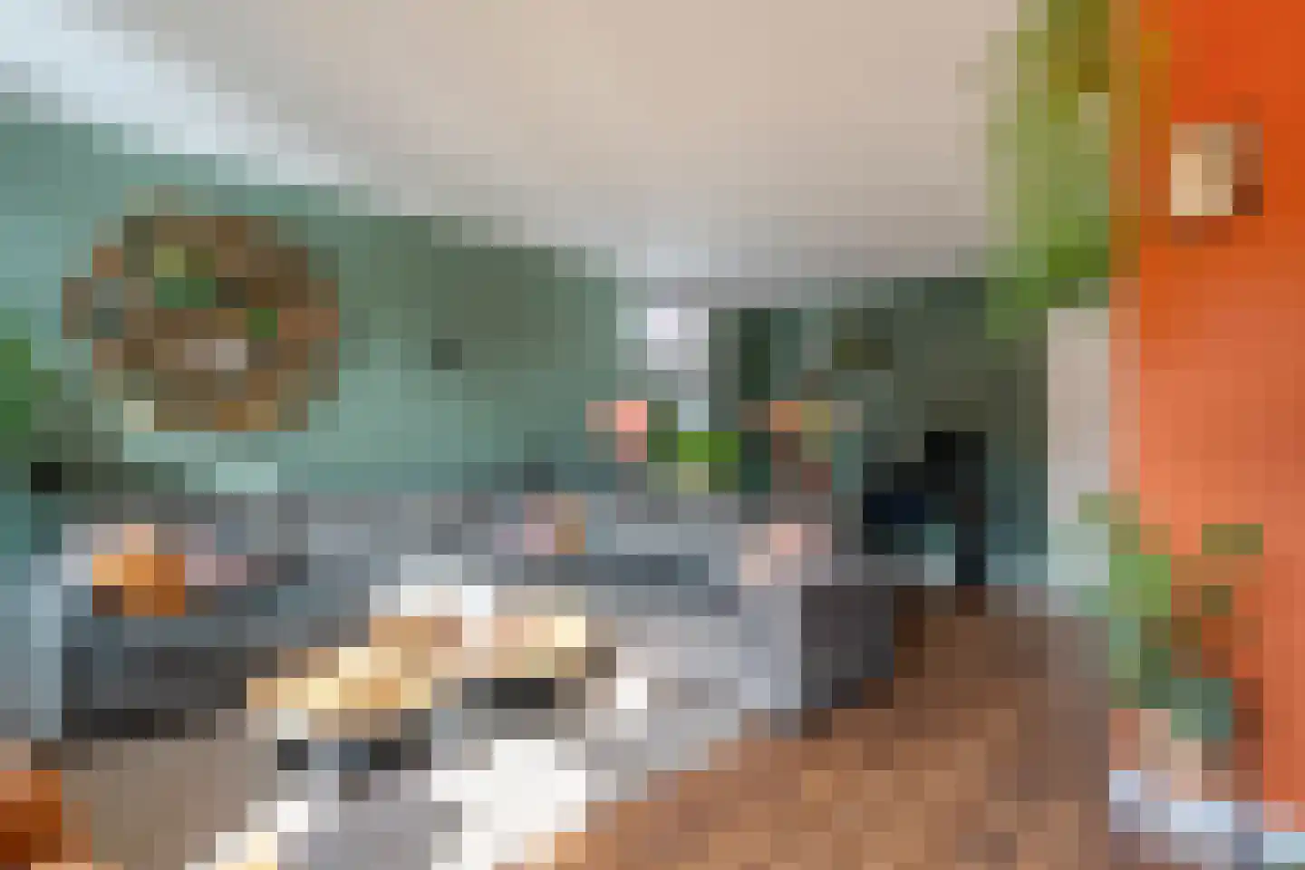 Molstraat 4 Dedemsvaart thumbnail 23