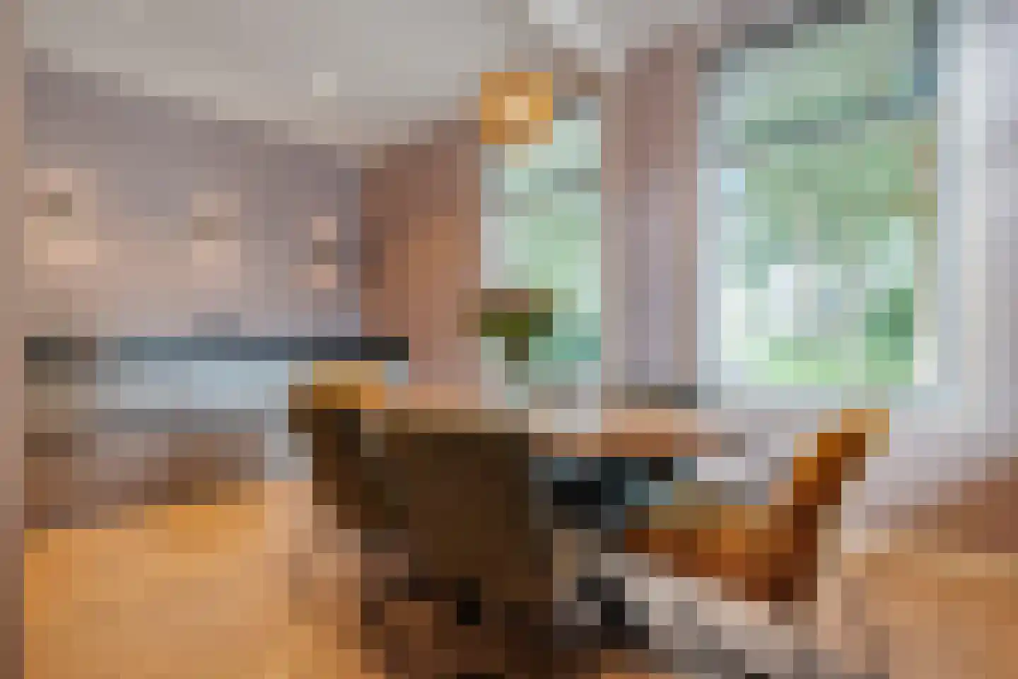 Molstraat 4 Dedemsvaart thumbnail 30