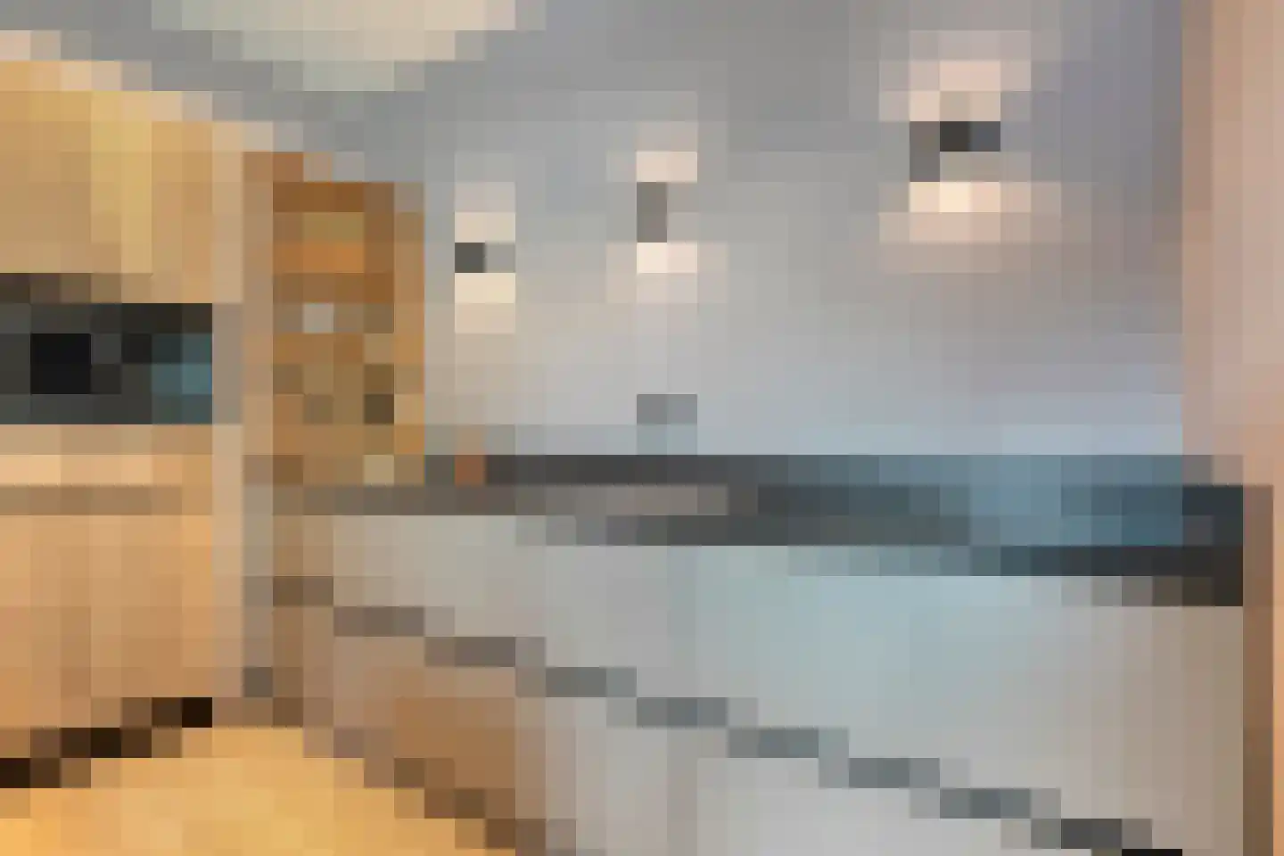 Molstraat 4 Dedemsvaart thumbnail 31