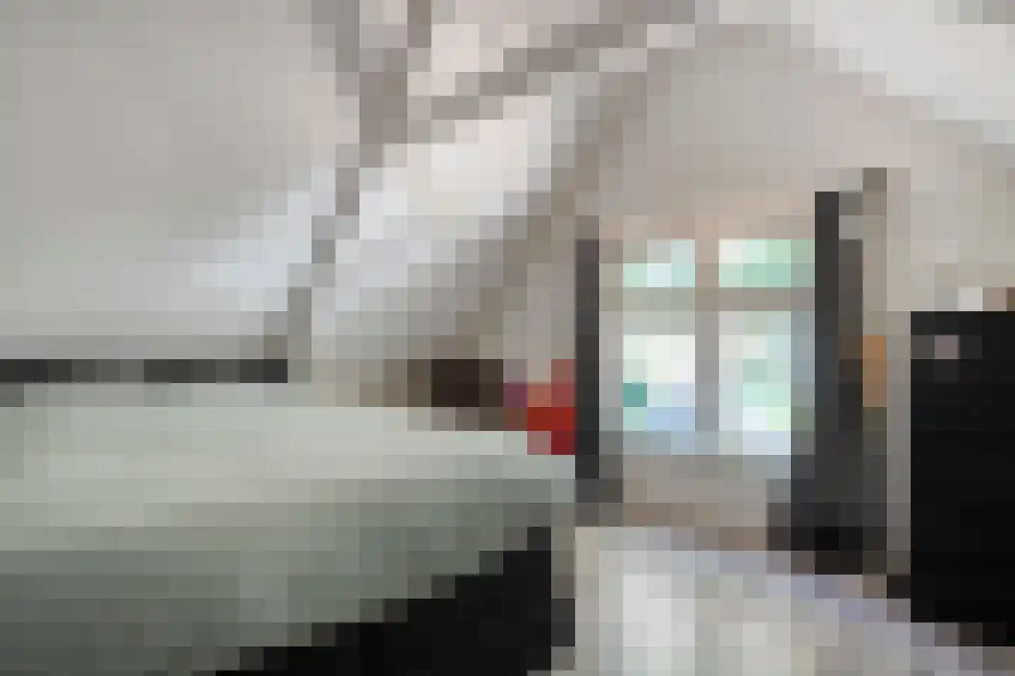 Molstraat 4 Dedemsvaart thumbnail 46