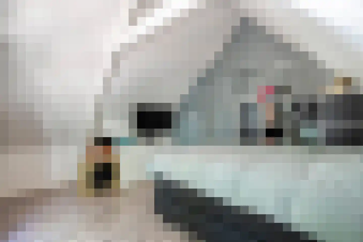 Molstraat 4 Dedemsvaart thumbnail 47