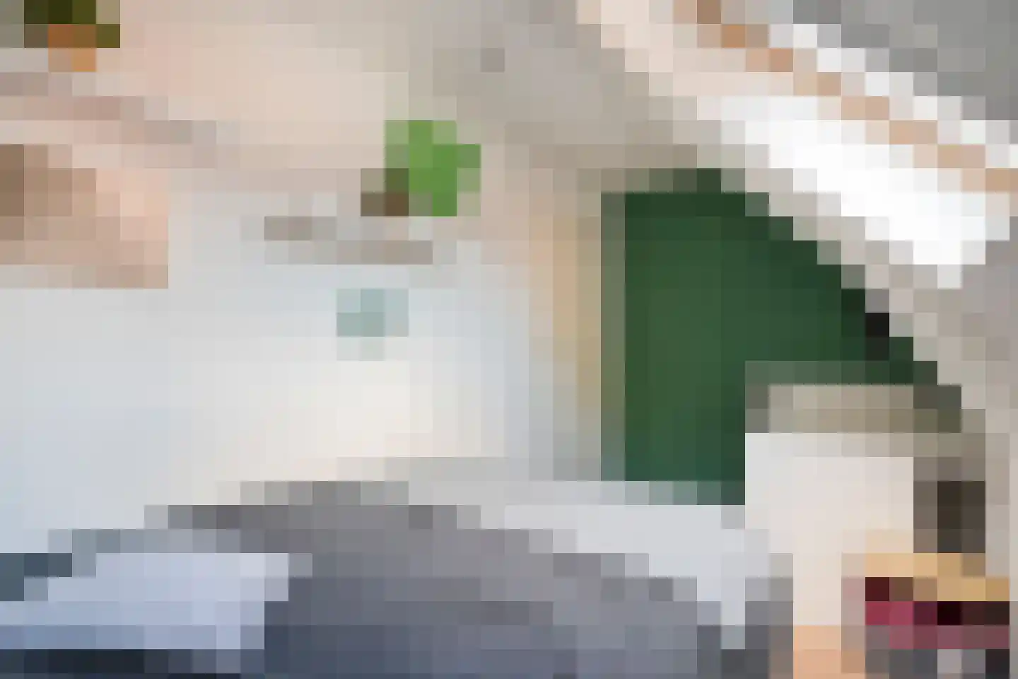 Molstraat 4 Dedemsvaart thumbnail 50