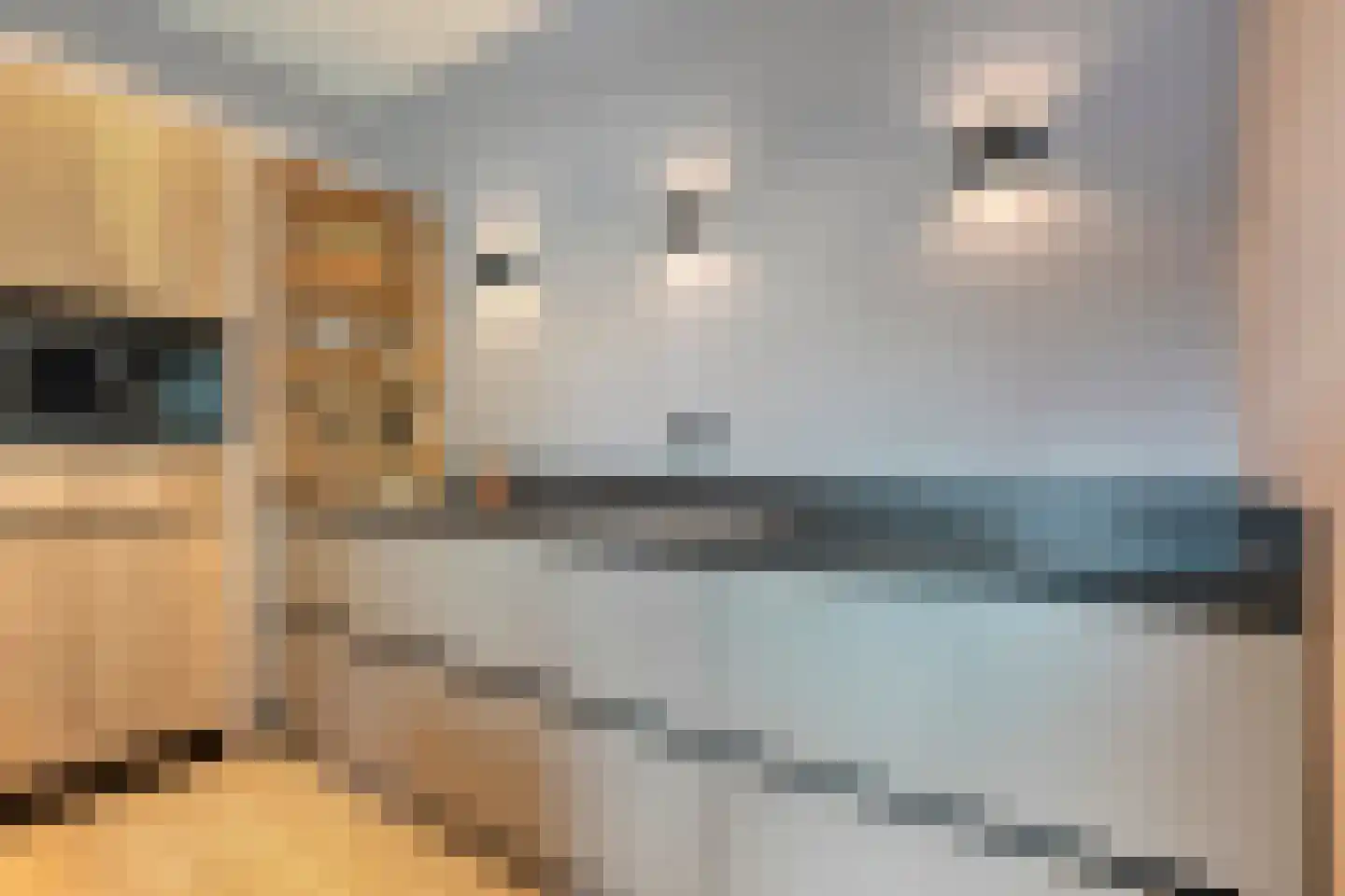Molstraat 4 Dedemsvaart thumbnail 6