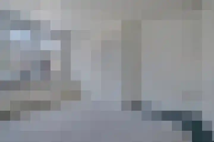 Molstraat 5 Dreischor thumbnail 15