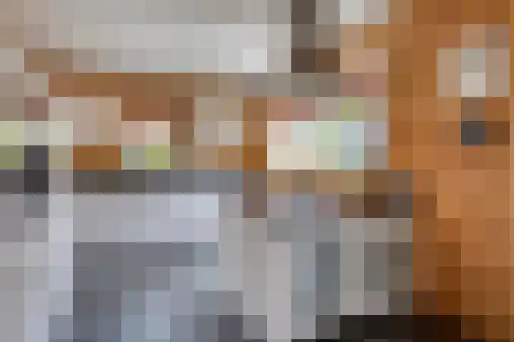 Molstraat 5 Dreischor thumbnail 18