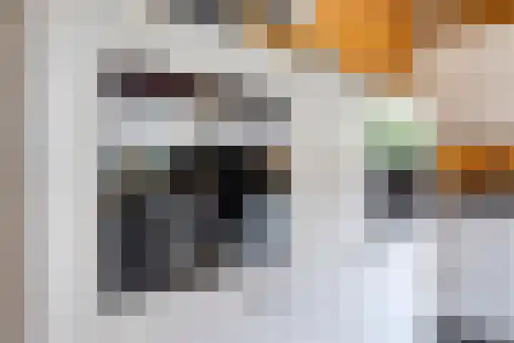 Molstraat 5 Dreischor thumbnail 19