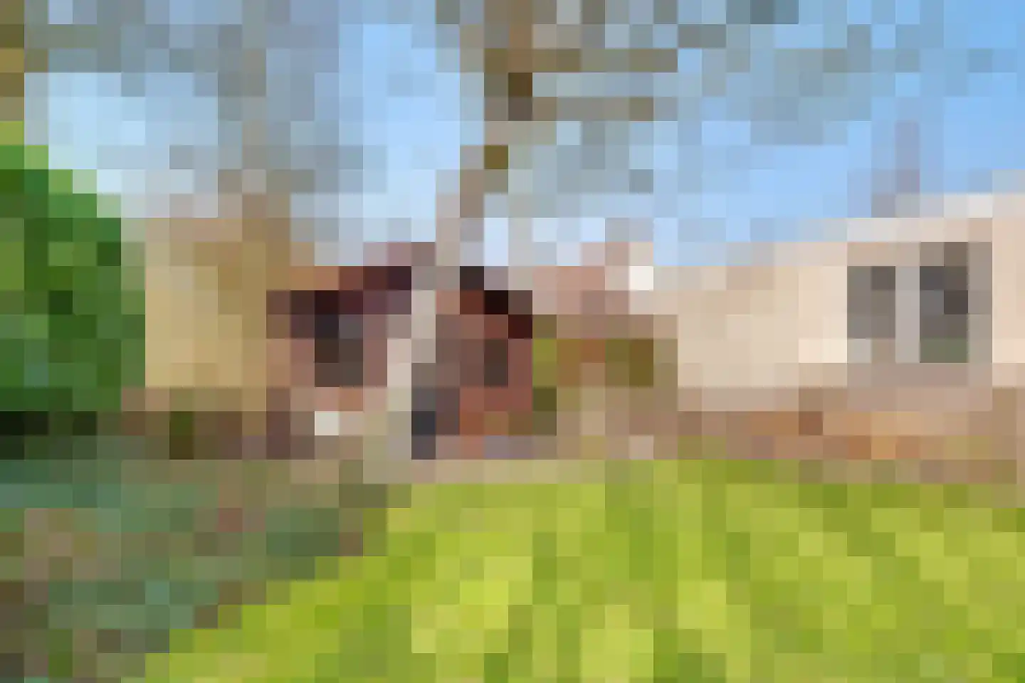 Molstraat 5 Dreischor thumbnail 22