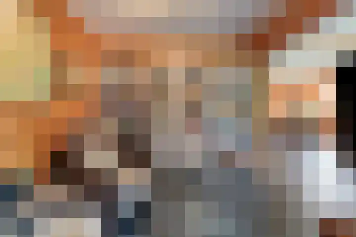Molstraat 5 Dreischor thumbnail 22
