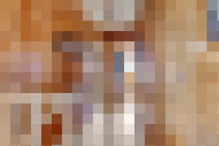 Molstraat 5 Dreischor thumbnail 31