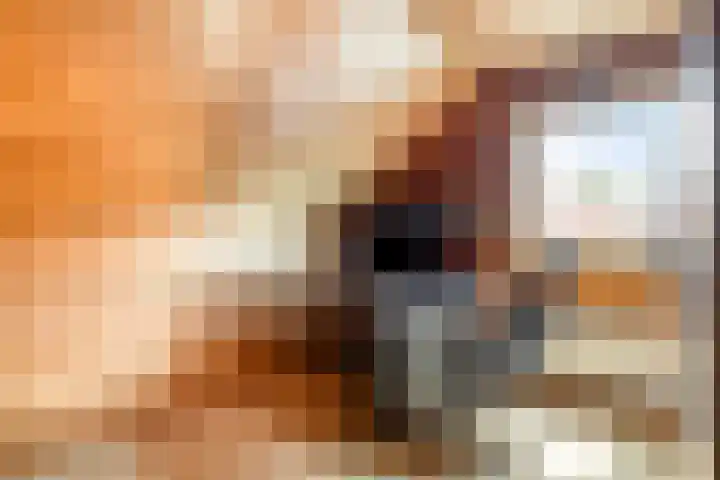 Molstraat 5 Dreischor thumbnail 35