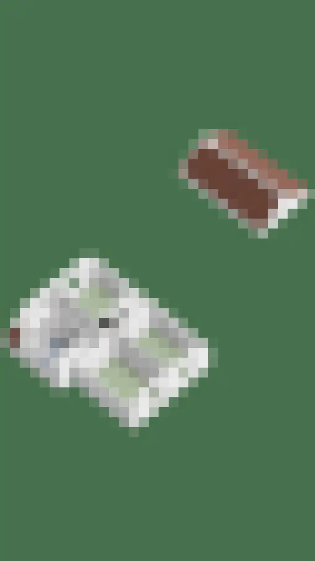 Molstraat 5 Dreischor thumbnail 40