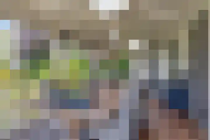 Molstraat 5 Dreischor thumbnail 42