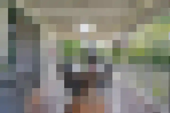 Molstraat 5 Dreischor thumbnail 43