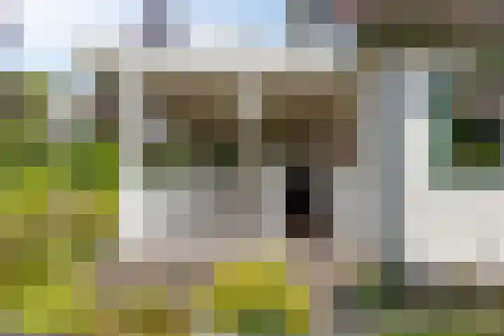 Molstraat 5 Dreischor thumbnail 44