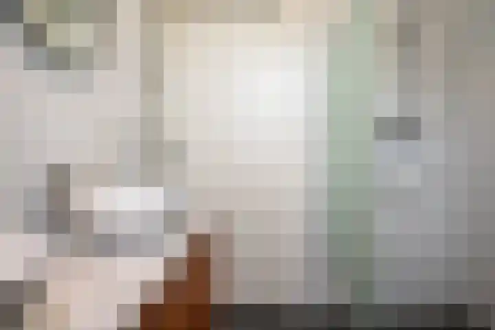 Molstraat 5 Dreischor thumbnail 46
